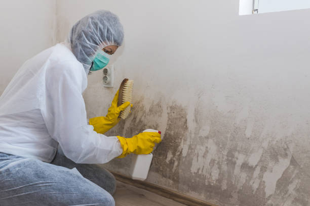 Best Water Damage Restoration  in Long Hill, CT