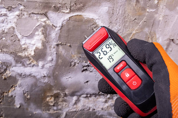 Mold Removal and Inspection in Long Hill, CT
