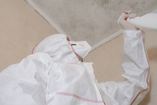 Water Damage Restoration in Long Hill, CT