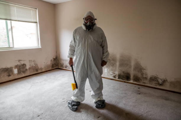 Best Mold Testing  in Long Hill, CT
